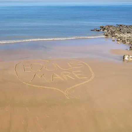 Equus Mare Daire Oostende