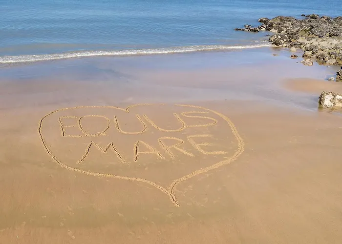 Equus Mare Appartement Oostende