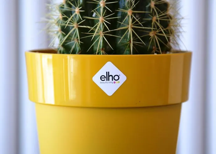 Equus Mare Appartement *